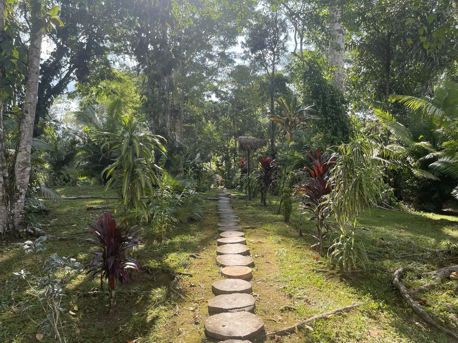 Sunlit stepping stones leading through a lush garden